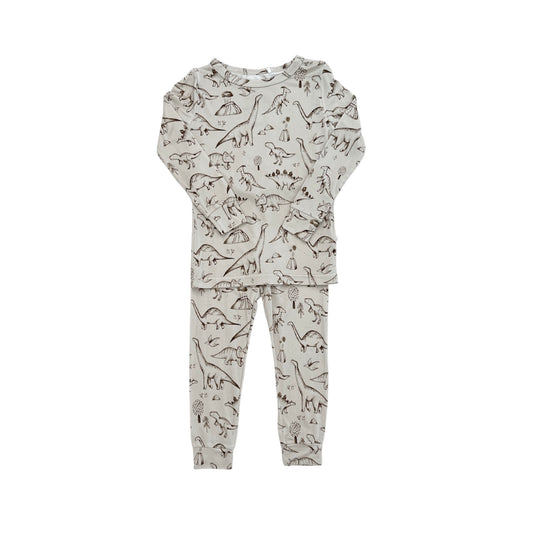 Bamboo Two Piece Toddler Set | Dino