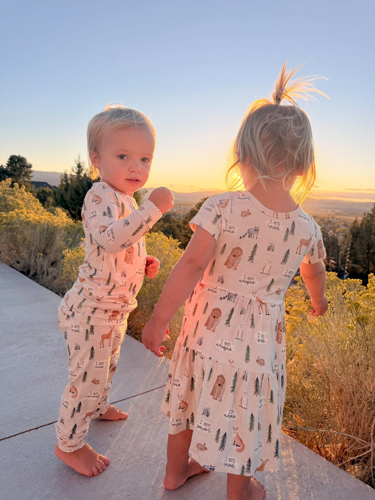 Bamboo Short Sleeve Twirl Dress | Woodland Affirmations