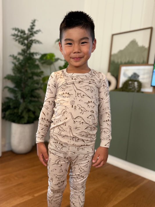 Bamboo Two Piece Toddler Set | Dino