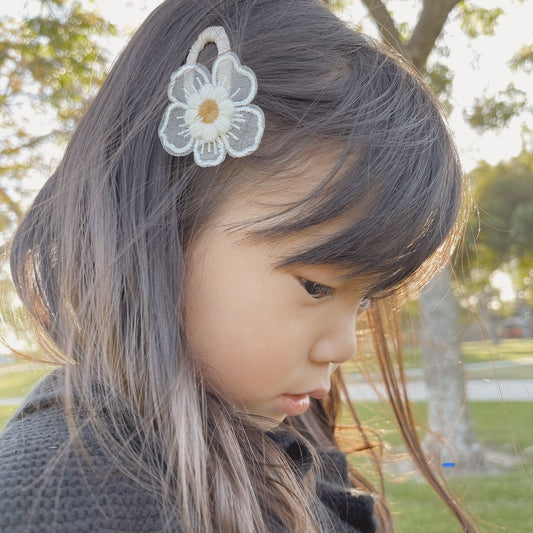 Barrette Hair Clips